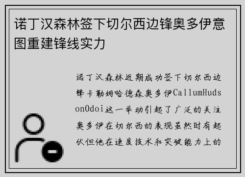 诺丁汉森林签下切尔西边锋奥多伊意图重建锋线实力